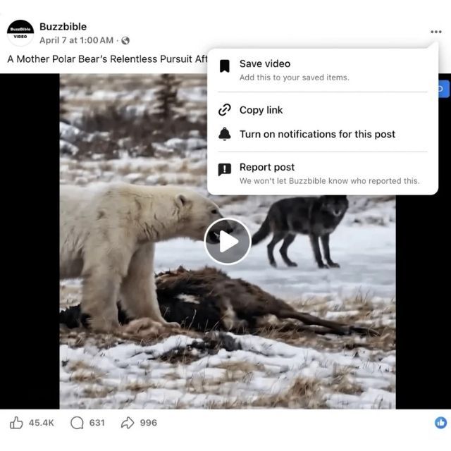 Free FB Video Downloader Online: Download Facebook Videos Easily